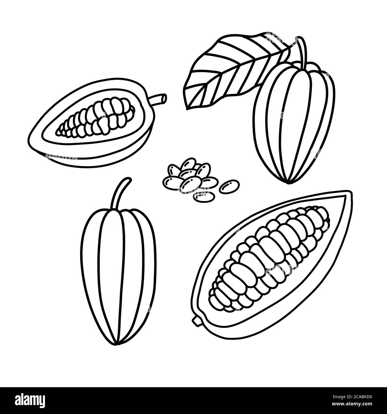 icona del doodle di frutti e fagioli cacao, illustrazione della linea vettoriale Illustrazione Vettoriale