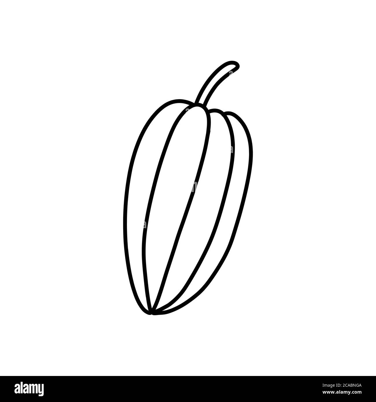 icona del doodle di frutti e fagioli cacao, illustrazione della linea vettoriale Illustrazione Vettoriale
