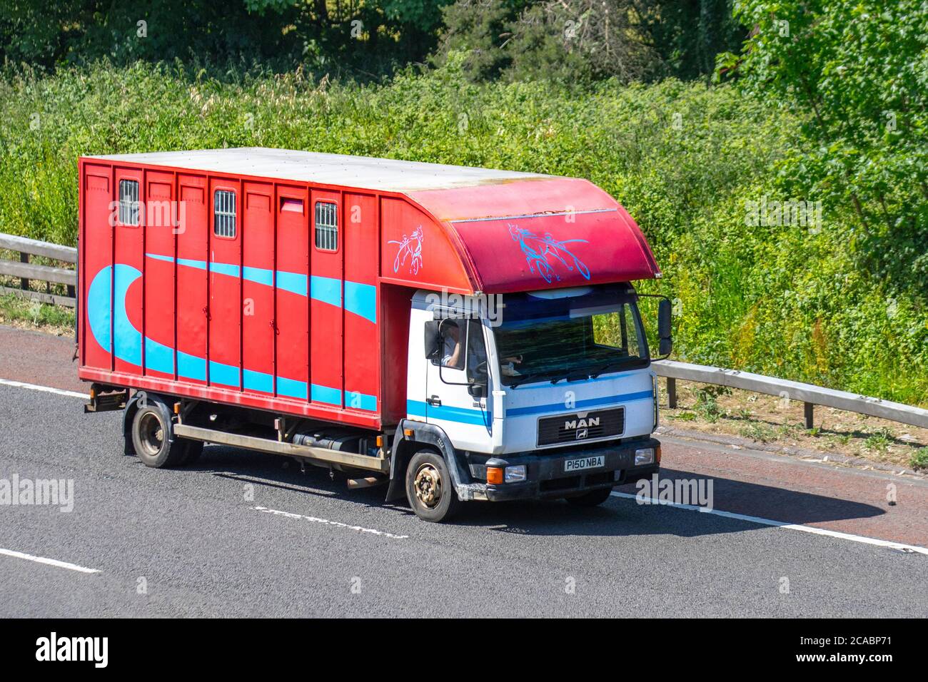 P150NBA legno rosso 1997 uomo L 2000 pulmino di crine; trasporto di animali equini costruito e di conversione del pulmann che viaggia sull'autostrada M6, Lancashire, Regno Unito Foto Stock
