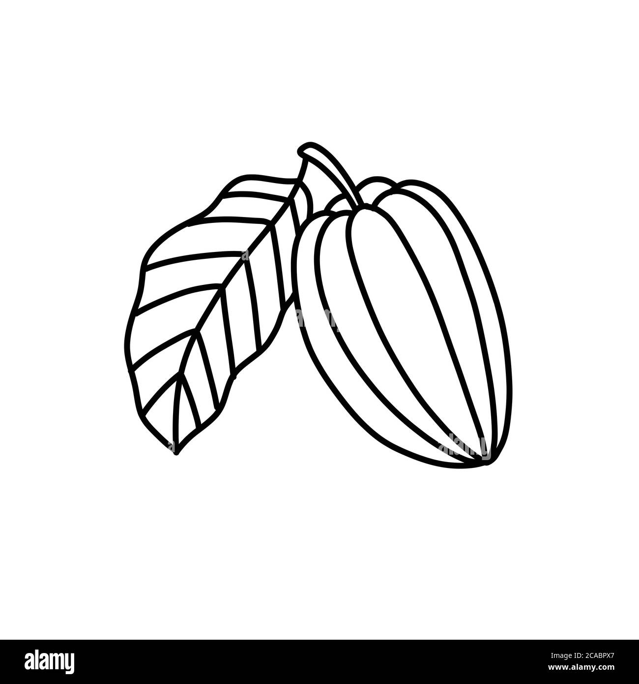 icona del doodle di frutti e fagioli cacao, illustrazione della linea vettoriale Illustrazione Vettoriale