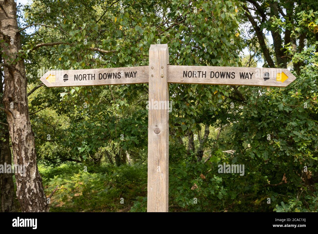 Cartello in legno che indica la North Downs Way, Regno Unito Foto Stock