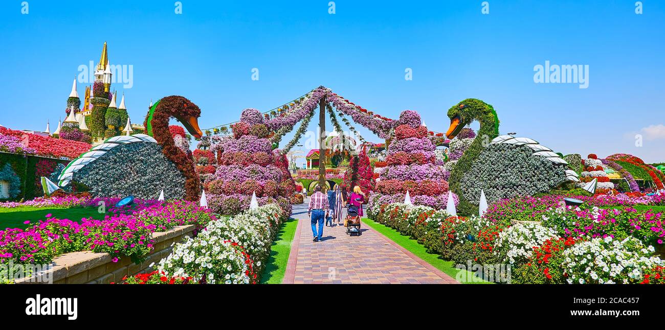 DUBAI, Emirati Arabi Uniti - 5 MARZO 2020: Panorama del vicolo del Giardino dei Miracoli con aiuole di petunie e installazioni di cigni floreali, il 5 marzo a Dubai Foto Stock