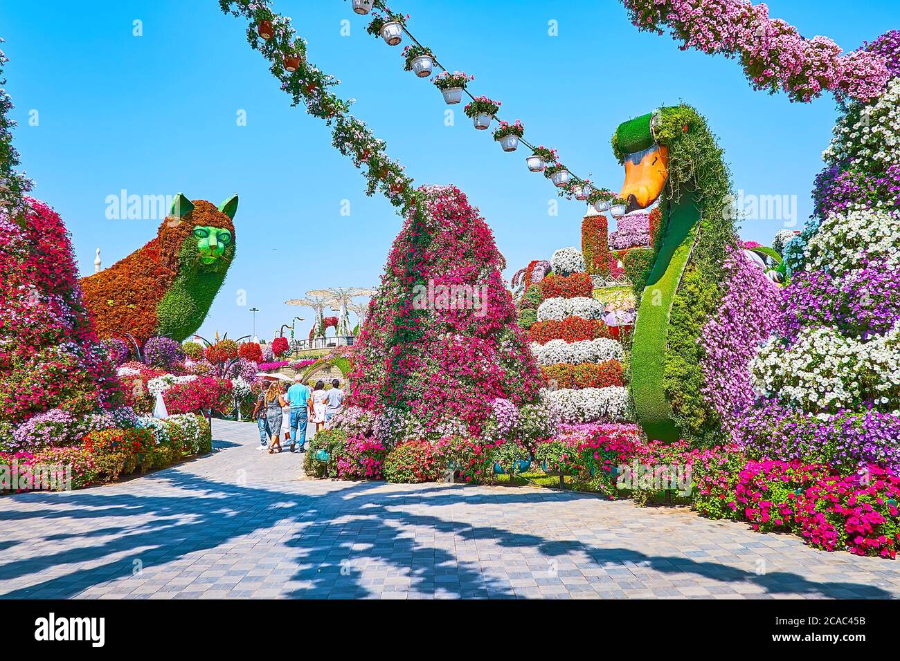 DUBAI, Emirati Arabi Uniti - 5 MARZO 2020: Esplora le panoramiche installazioni di gatti e cigni, circondati da aiuole di fiori e petunie in pentole, Miracle Garden, su Marc Foto Stock