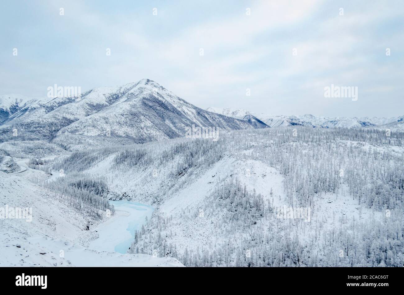 Foresta innevata nella Repubblica di Sakha, tratto di Kolyma, il nord russo Foto Stock