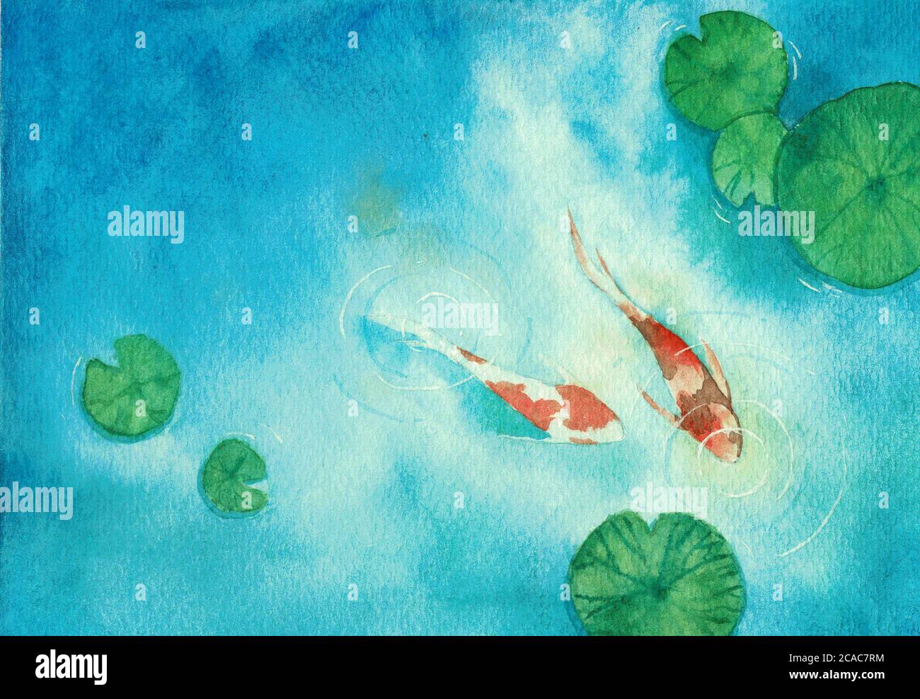 Pittura a mano acquerello, due pesci koi carpa in uno stagno, il simbolo di buona fortuna e prosperità. Foto Stock