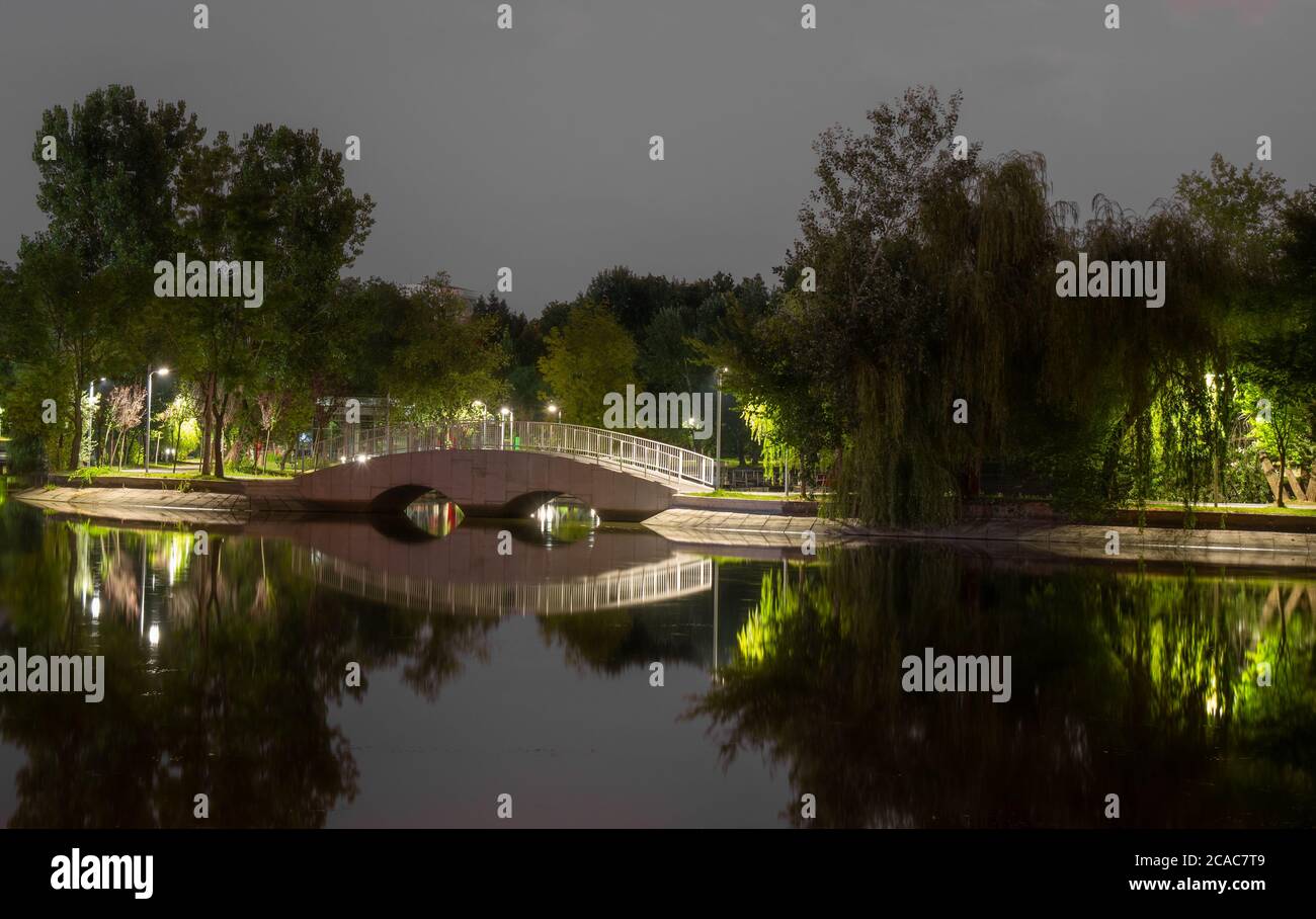 Vista notturna di uno dei ponti illuminati del Parco Bordei a Bucarest. Romantica atmosfera estiva Foto Stock