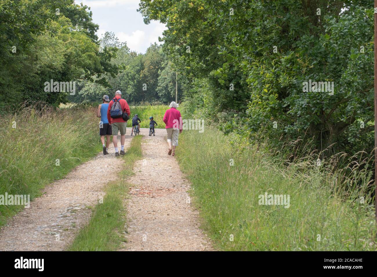 I membri della famiglia camminano, si esercitano, lungo una verde e verde strada di campagna. Adulti a piedi, bambini in bicicletta. Norfolk rurale. Giugno. Foto Stock