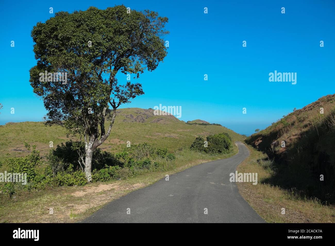 Vagamon è una stazione collinare situata a Kottayam- Idukki confine con il Kerala. Foto Stock