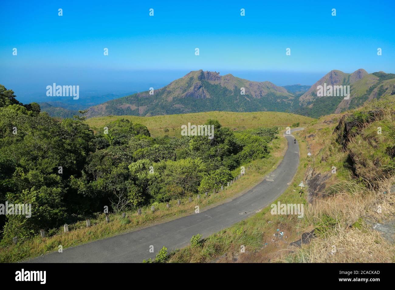 Vagamon è una stazione collinare situata a Kottayam- Idukki confine con il Kerala. Foto Stock