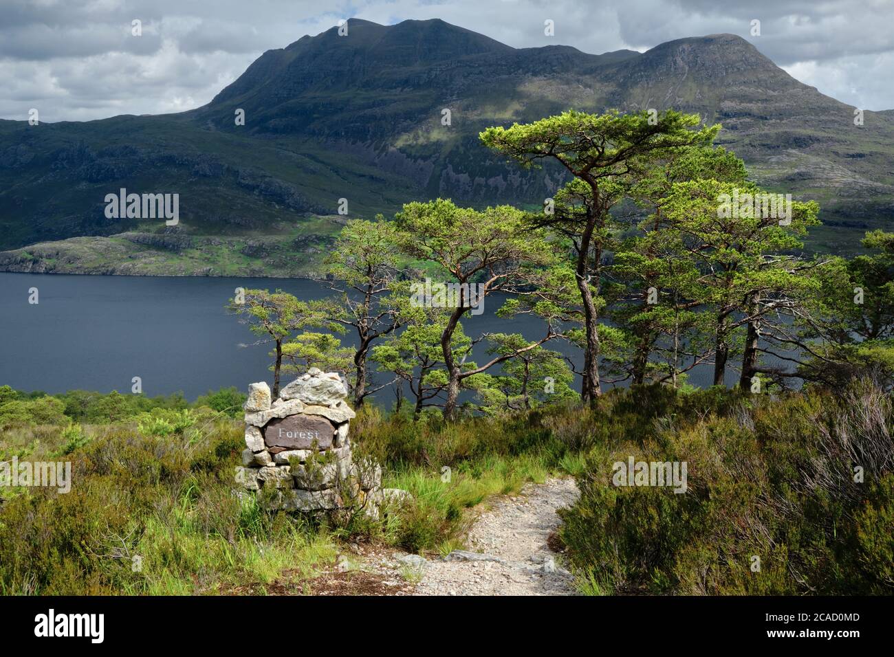 Slioch Munro si nasconde dietro i pini caledoniani illuminati dal sole Foto Stock