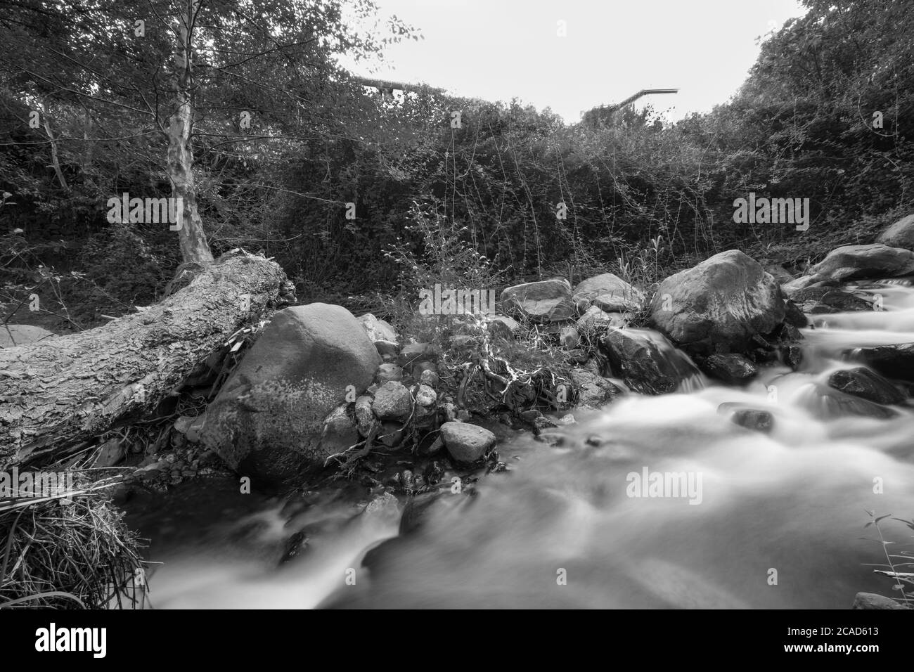 Flusso d'acqua pura che scorre su terreni rocciosi di montagna nella foresta di Kakopetria a Troodos, Cipro. Esposizione lenta che crea un'impressione del flusso dei denti. Foto Stock