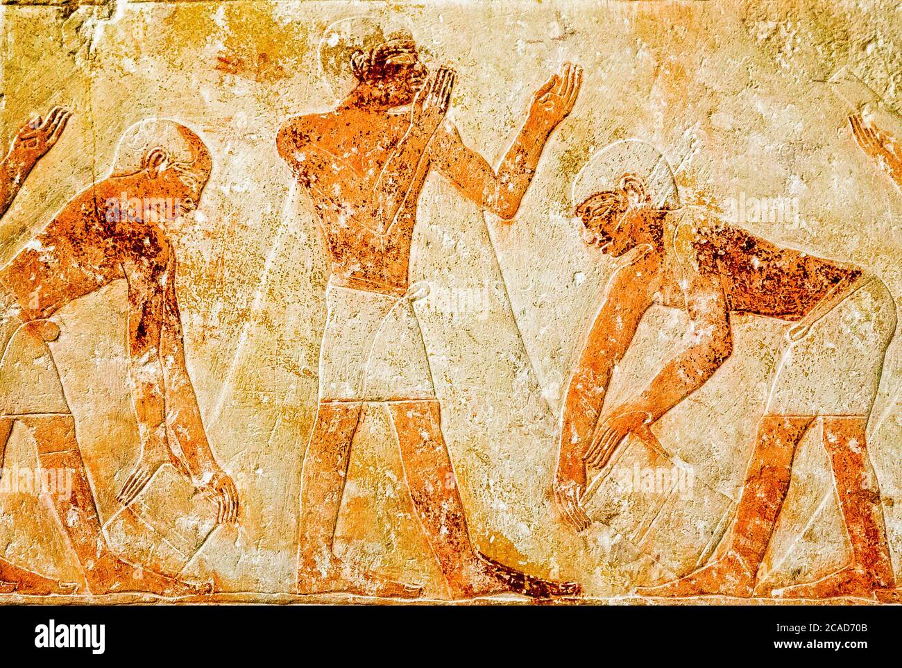 Egitto, Cairo, Museo Egizio, dalla tomba di Kaemrehu, Saqqara, dettaglio di un grande rilievo raffigurante la scena agricola: Misurazione del raccolto. Foto Stock