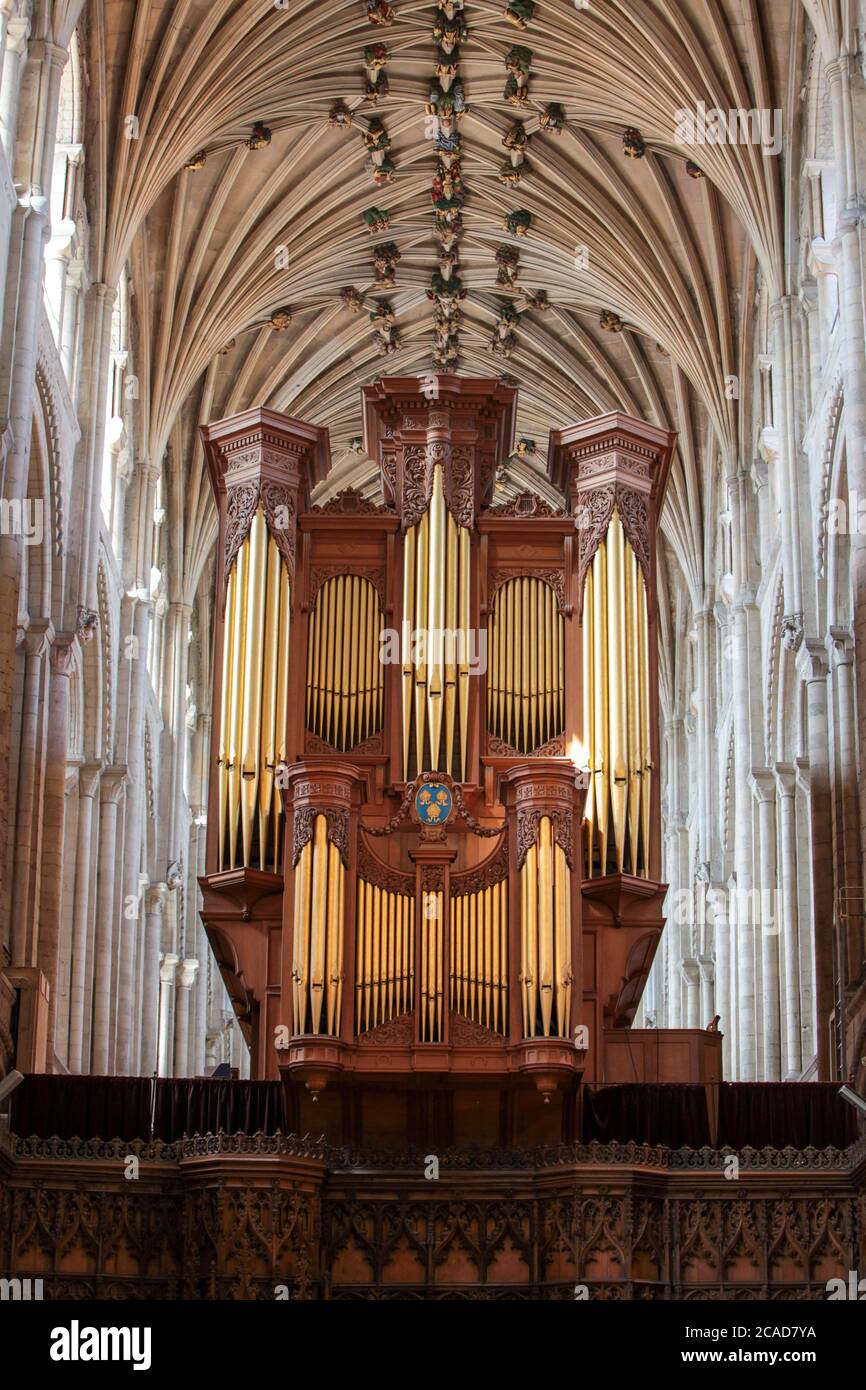 Norwich Cathedral Organ, Norfolk, Regno Unito. Riferito di essere uno dei più grandi organi di tubo ancora in uso in Inghilterra. 2019 Foto Stock