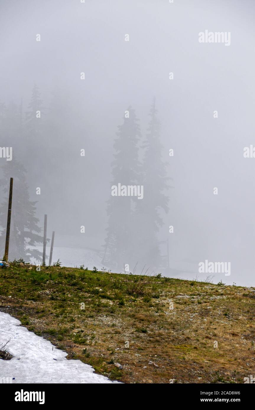 La nebbia fitta scende sulle piste da sci di Blackcomb sopra la stazione sciistica di Whistler in estate. British Columbia, Canada Foto Stock