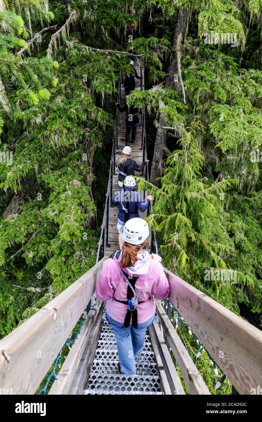 Ziptrek Adventure sport lungo cavi in acciaio sospesi in alto sopra Fitzsimmons Creek tra le ripide pendici boscose Blackcomb e Whistler vicino Foto Stock