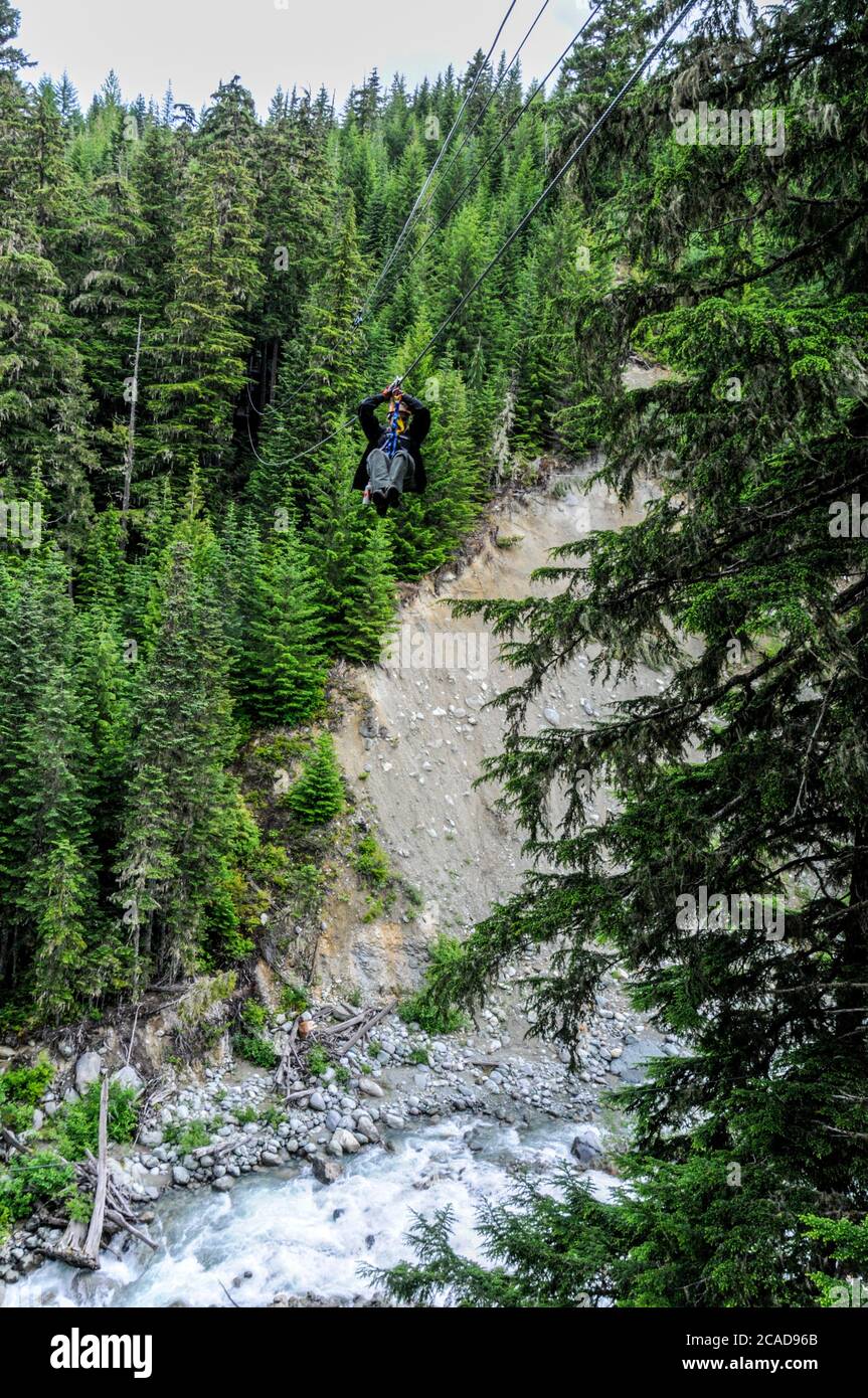 Ziptrek Adventure sport lungo cavi in acciaio sospesi in alto sopra Fitzsimmons Creek tra le ripide pendici boscose Blackcomb e Whistler Vicino a Wh Foto Stock