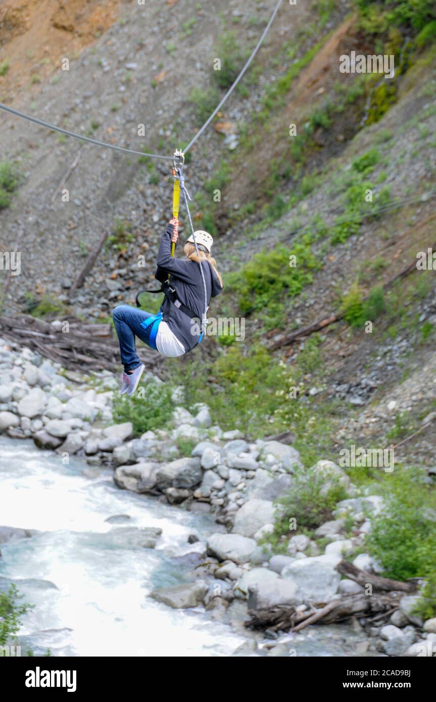 Ziptrek Adventure sport lungo cavi in acciaio sospesi in alto sopra Fitzsimmons Creek tra le ripide pendici boscose Blackcomb e Whistler Vicino a Wh Foto Stock