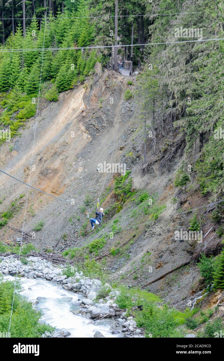 Ziptrek Adventure sport lungo cavi in acciaio sospesi in alto sopra Fitzsimmons Creek tra le ripide pendici boscose Blackcomb e Whistler Vicino a Wh Foto Stock