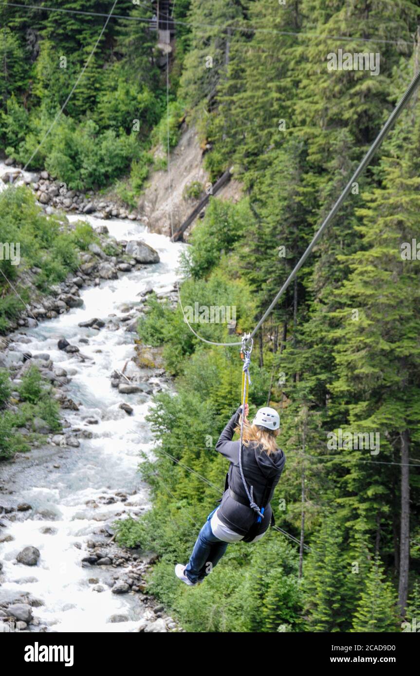 Ziptrek Adventure sport lungo cavi in acciaio sospesi in alto sopra Fitzsimmons Creek tra le ripide pendici boscose Blackcomb e Whistler Vicino a Wh Foto Stock