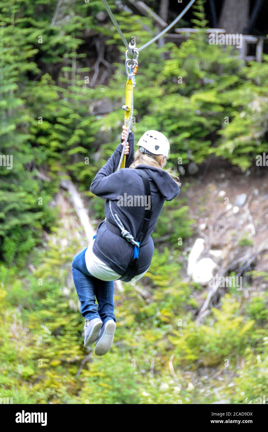 Ziptrek Adventure sport lungo cavi in acciaio sospesi in alto sopra Fitzsimmons Creek tra le ripide pendici boscose Blackcomb e Whistler vicino Foto Stock