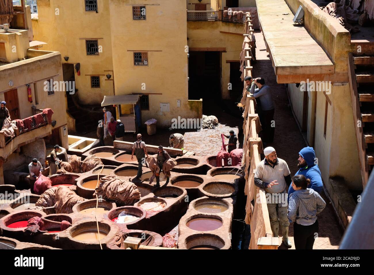 Tintura di cuoio nella città antica Fez, Marocco, i lavoratori nativi stanno lavorando e parlano sotto la luce del sole. Tini colorati marroni del colorante Foto Stock