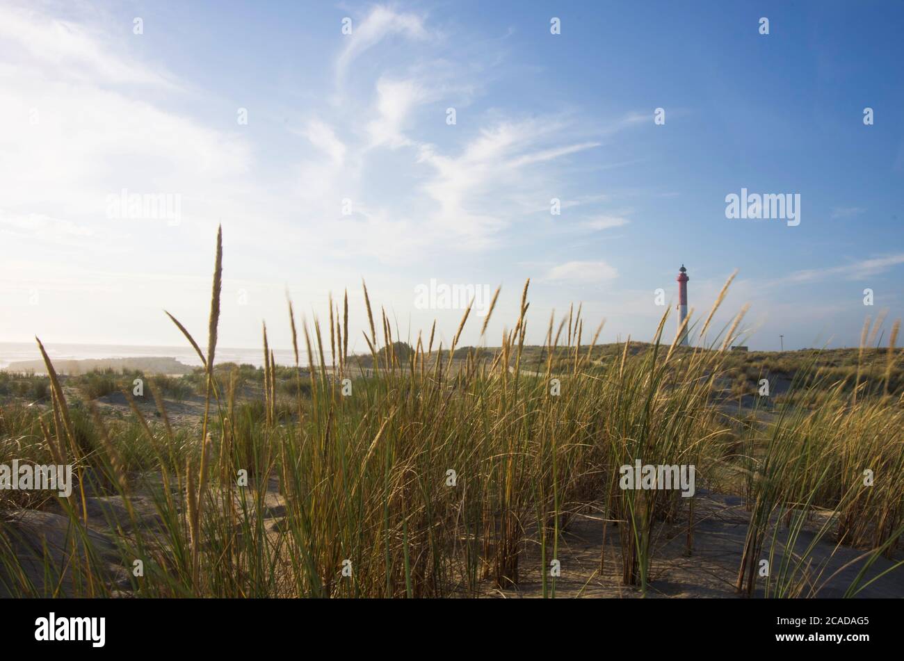 Faro la Coubre visto da dune di spiaggia Foto Stock