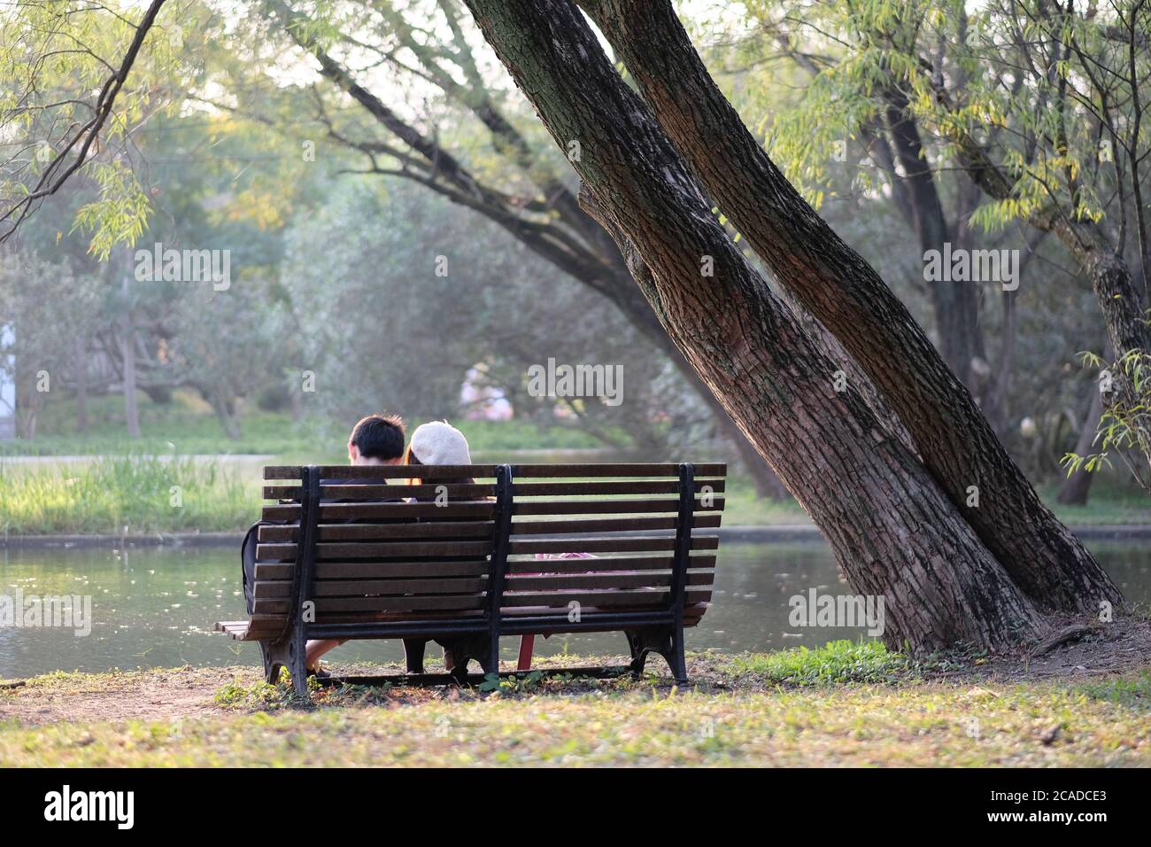un paio di amanti seduti su una panchina di legno nel parco sotto il sole. Lago d'acqua e alberi intorno Foto Stock
