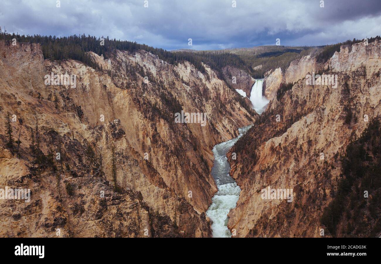 Vista panoramica delle Lower Falls del fiume Yellowstone Foto Stock