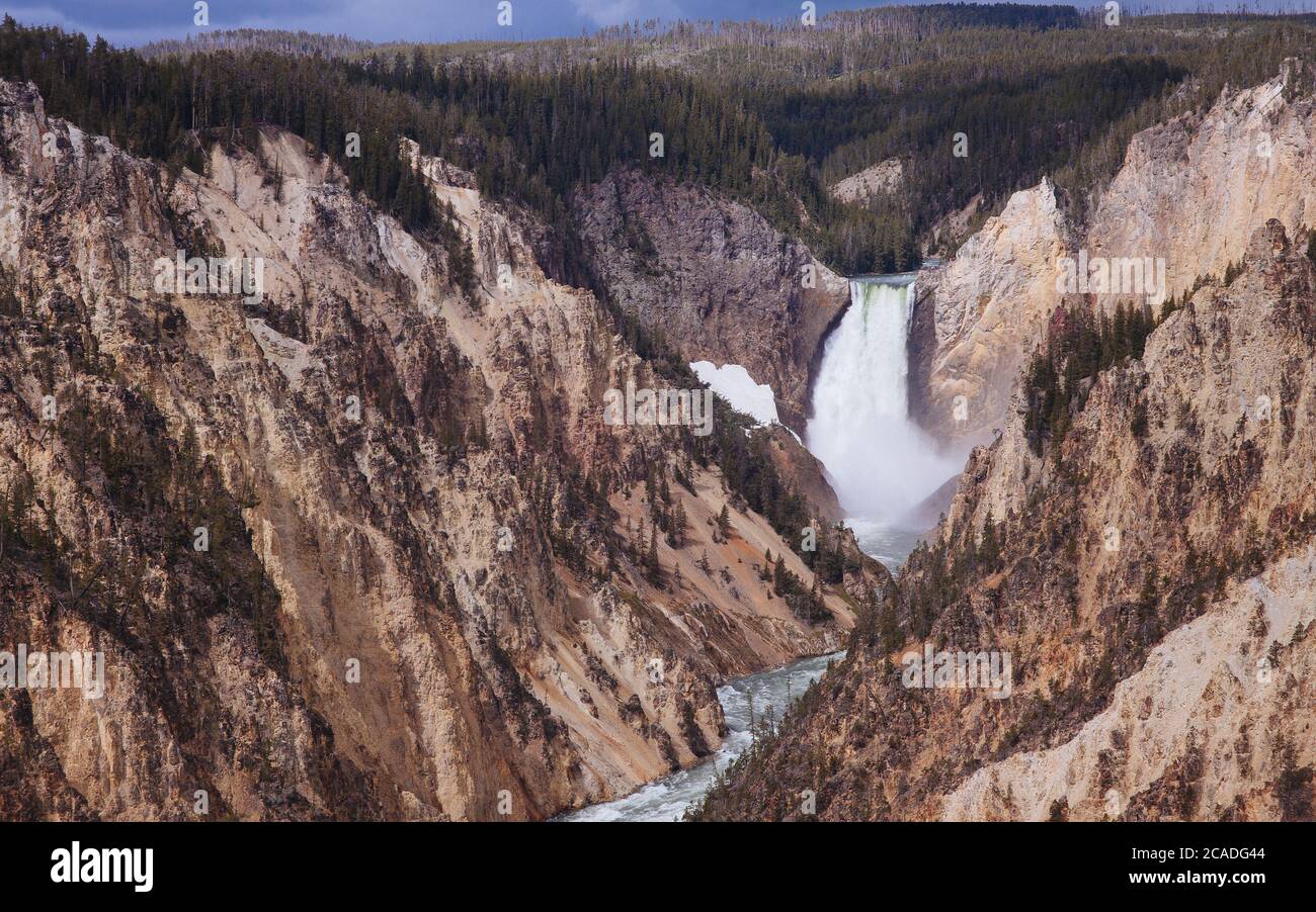 Le cascate Inferiori di Yellowstone River Foto Stock