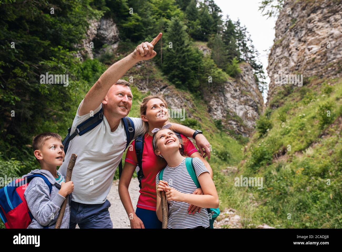 Sorridente padre che indica qualcosa alla sua famiglia in una foresta mentre fuori per un'escursione insieme Foto Stock