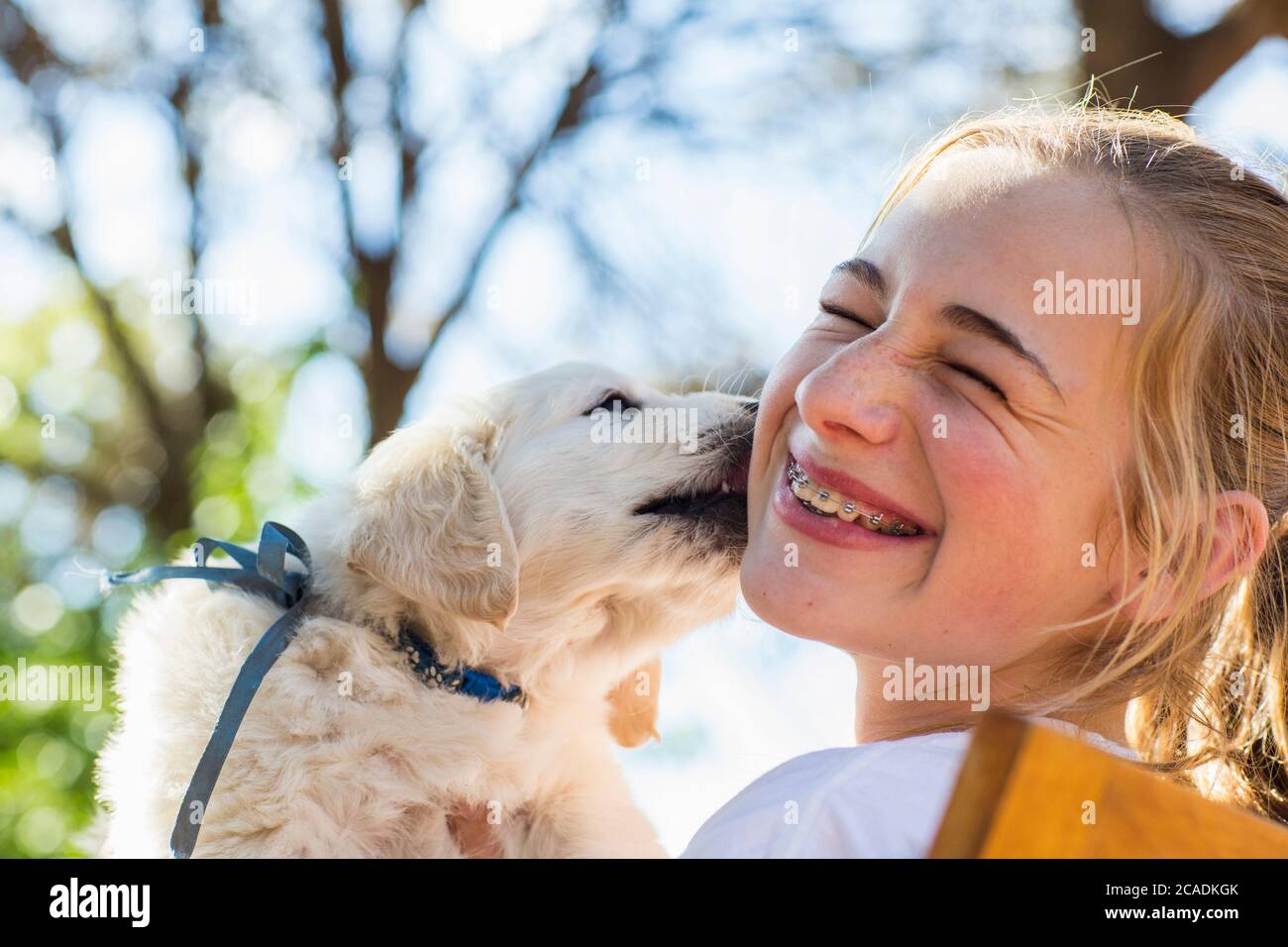 Un cucciolo d'oro inglese che lecca la guancia di una ragazza adolescente. Foto Stock