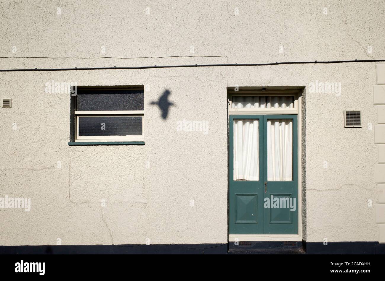 Immagine della porta anteriore verde che cattura l'ombra del gabbiano mentre vola in Herne Bay, Kent, Inghilterra. Foto Stock