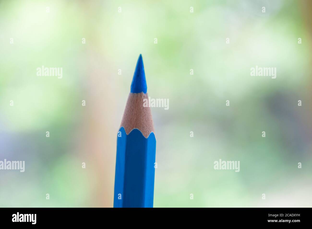 Blu chiaro un singolo pastello a matita di legno davanti ad uno sfondo completamente sfocato Foto Stock