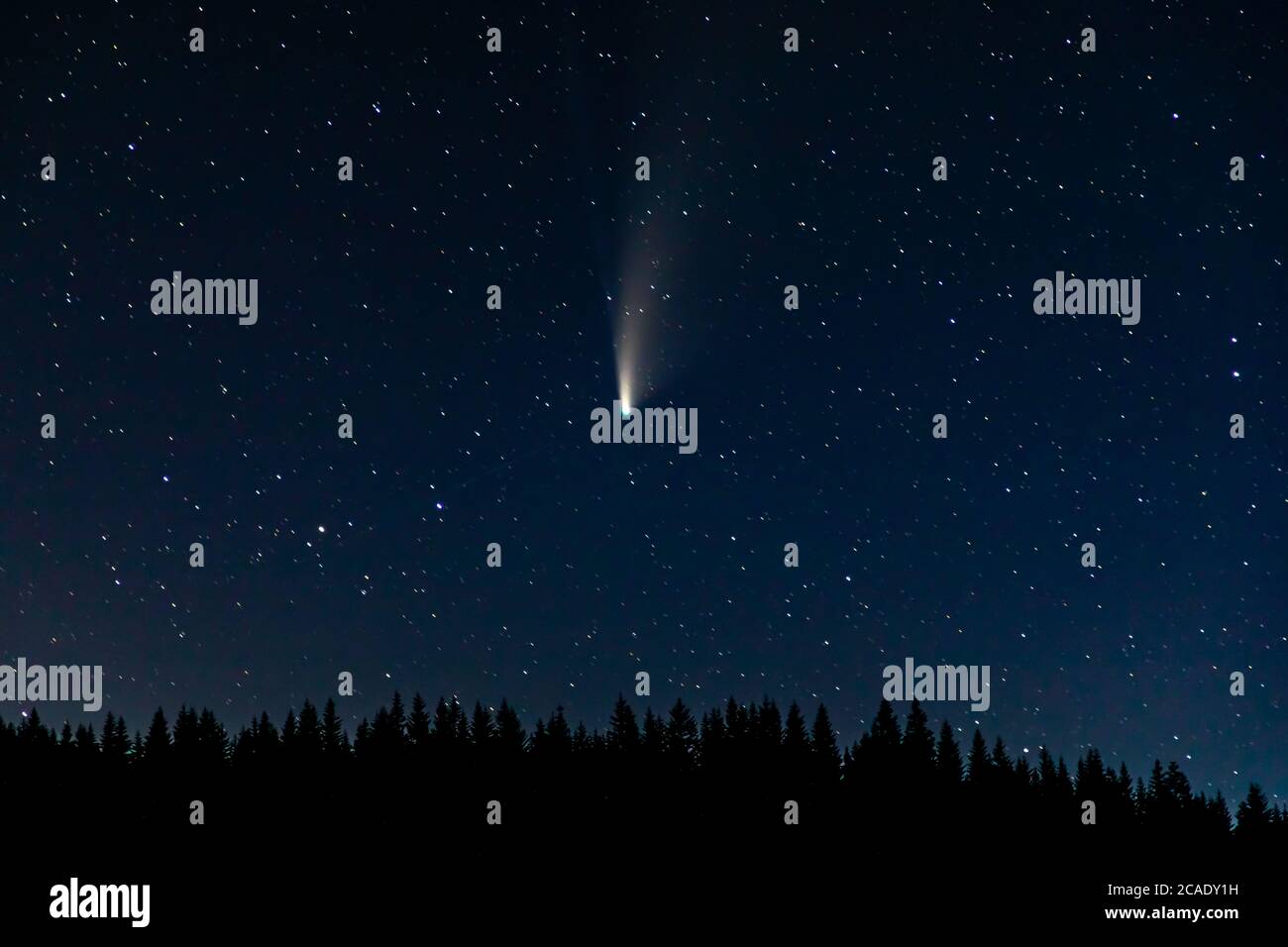 Cometa Neoswise visto da Trillium Lake, Oregon Foto Stock