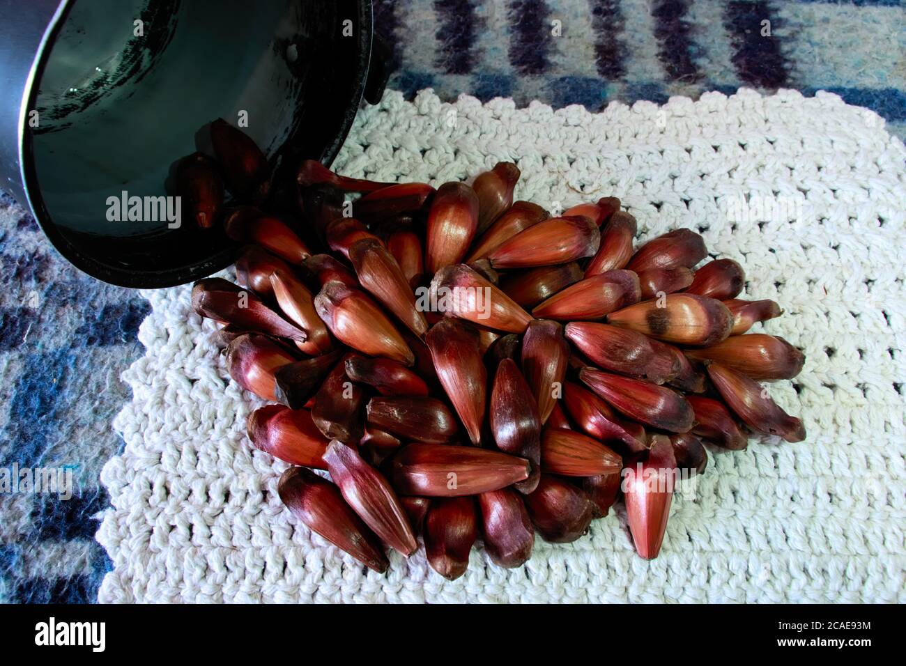 manciata di pinoli versata da una ciotola di alluminio su un asciugamano bianco rustico. Foto Stock
