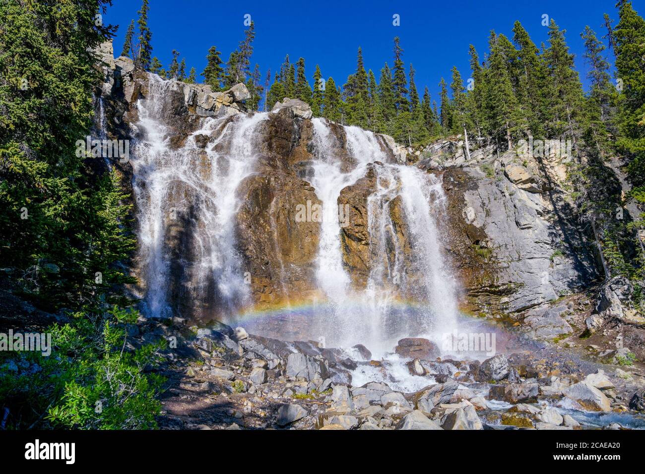 Groviglio scende, il Parco Nazionale di Jasper, Alberta, Canada Foto Stock