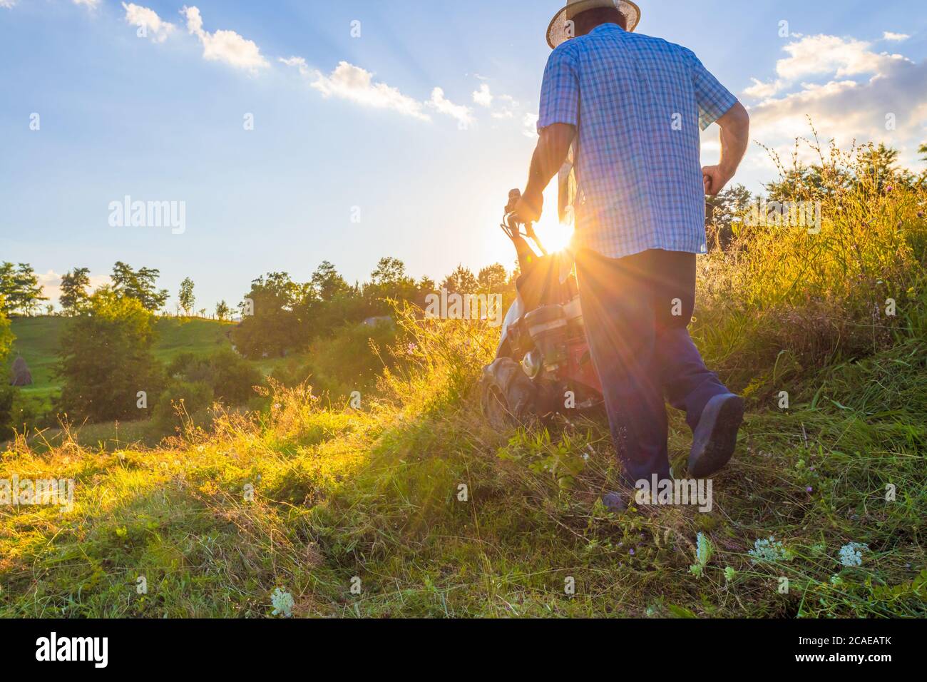 Estate fattoria Scenic. Uomo Seniour che aziona il rasaerba a barra di falcola nel campo Foto Stock
