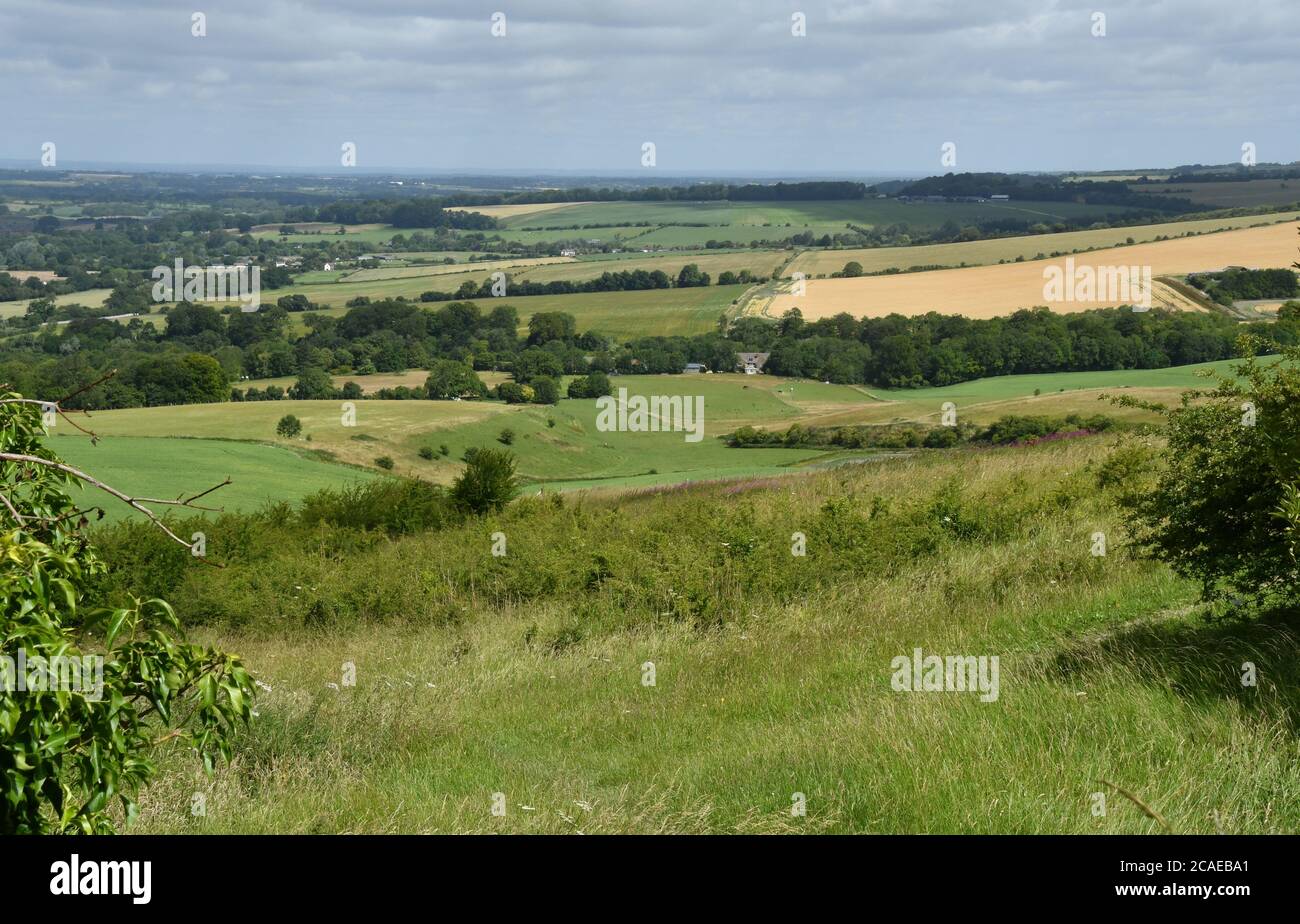 Vista dalla collina di Morgans sulla fertile campagna del Wiltshire agricolo verso Calne. Morgans Hill è una riserva Wiltshire Wildlife Trust ai margini del Foto Stock