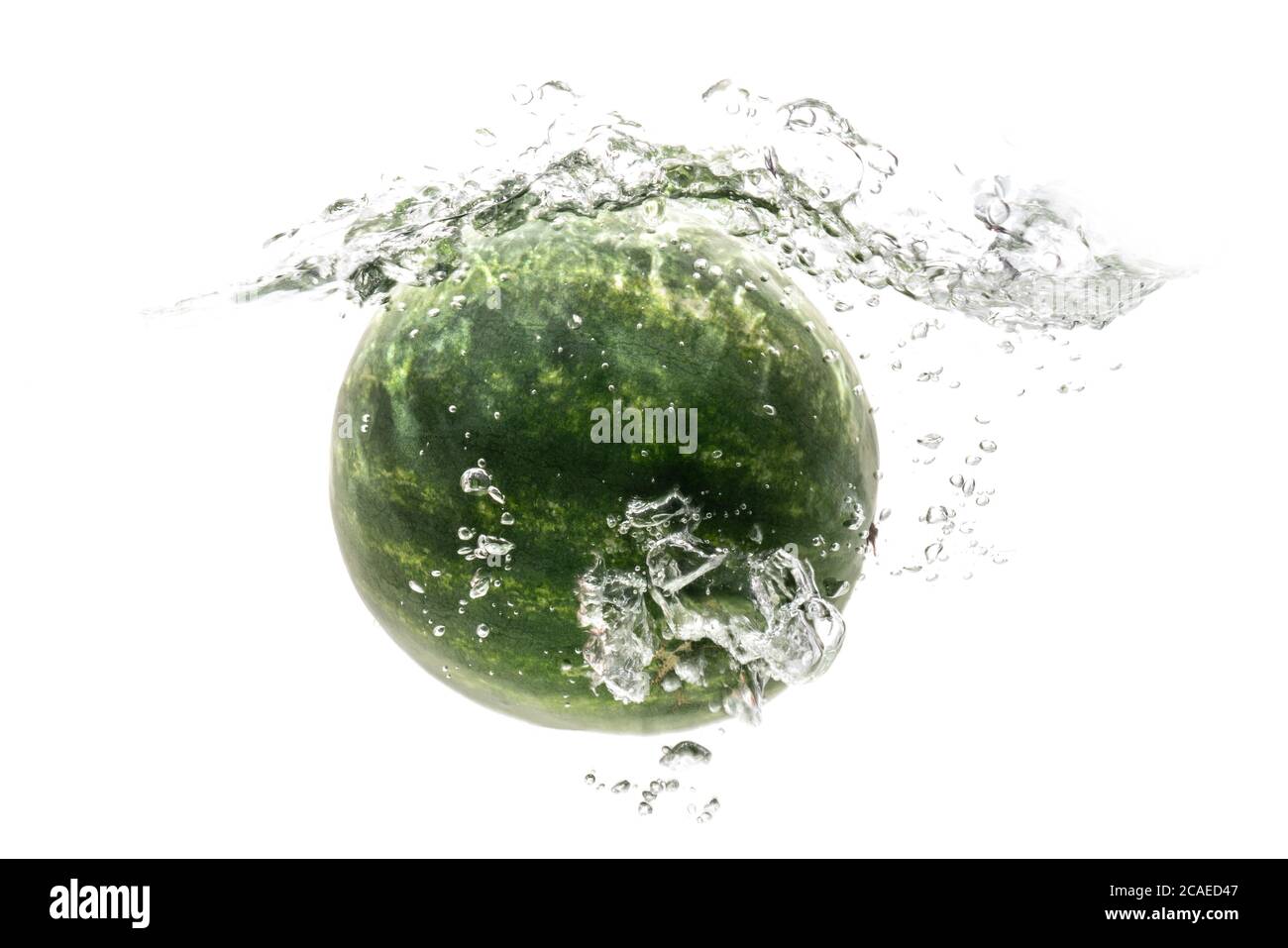 un cocomero a strisce verdi che cade in acqua su uno sfondo bianco con schizzi, gocce e bolle. frutta estiva e bacche. fuoco morbido. Foto Stock