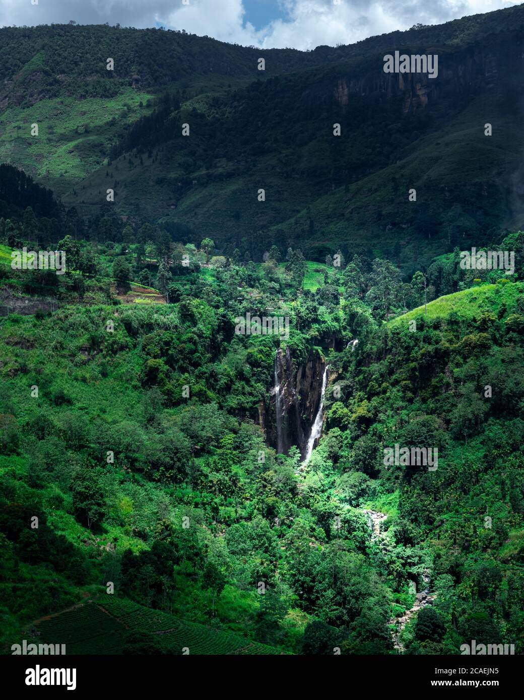 Cascata tropicale gigante in montagna, Sri Lanka. Distretto di Kandy Foto Stock