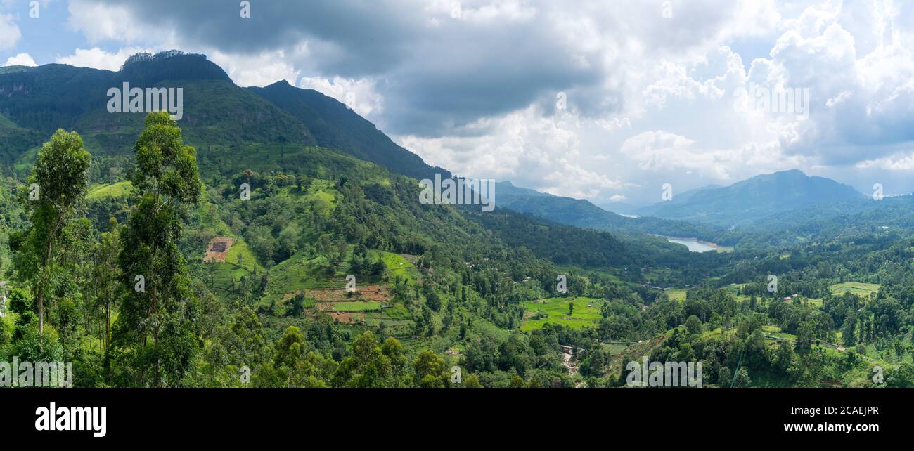 Incredibile paesaggio dello Sri Lanka. Piantagione di tè sulle montagne. Cielo nuvoloso. Formato panoramico Foto Stock