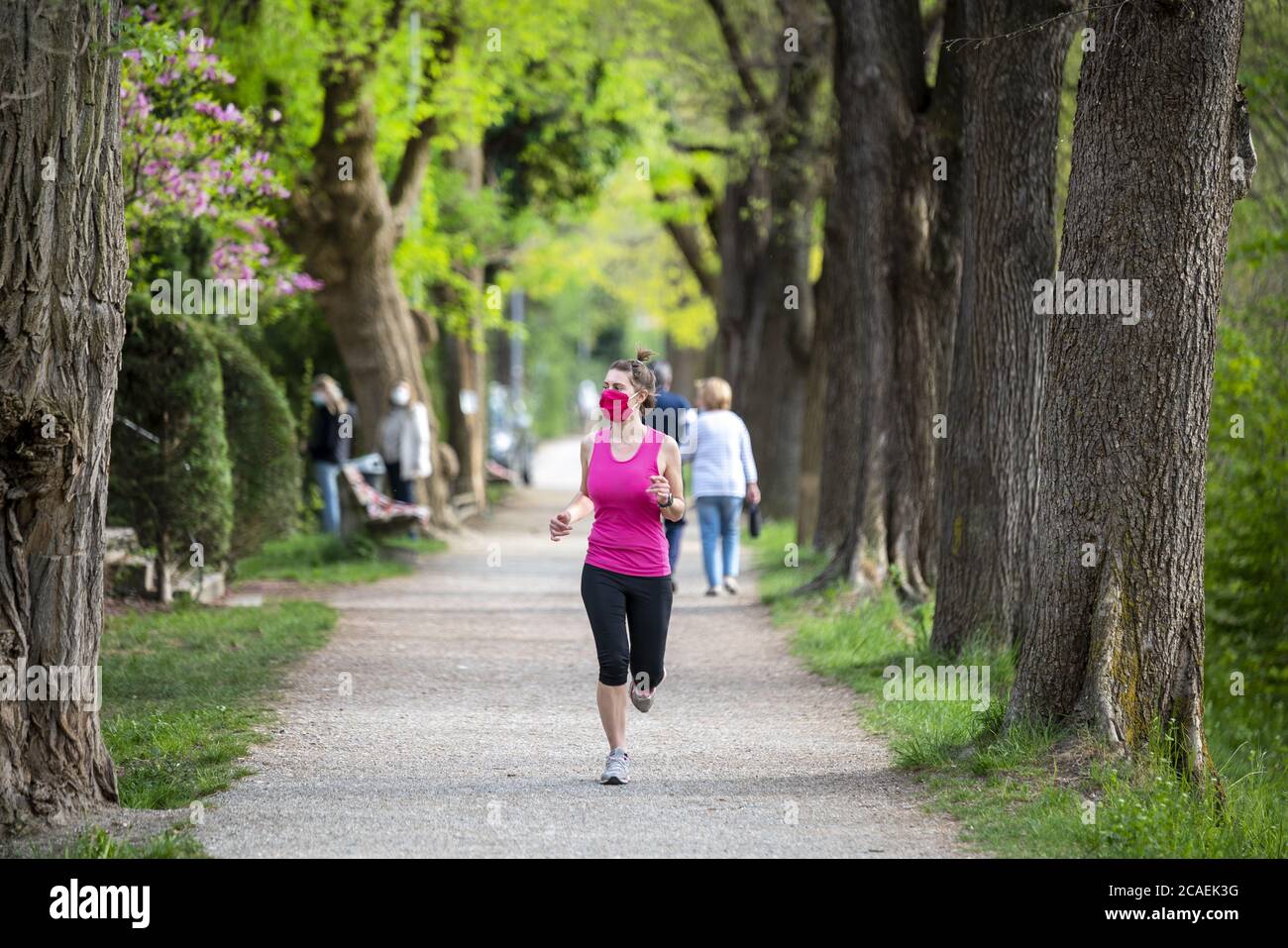 Rimani in forma durante il Covid-19. Una bella donna sportiva è jogging all'aperto, ha una maschera protettiva rosa sul viso. Correre da solo nel parco. Foto Stock