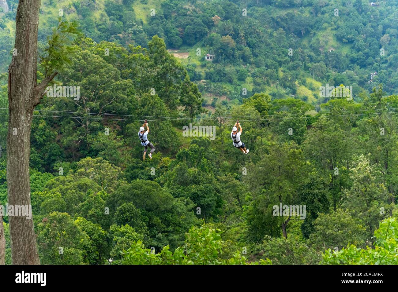 Uomini che vanno in zipline nella giungla. Tree climbing in Sri Lanka. Avventura, sfida e concetto di sport Foto Stock