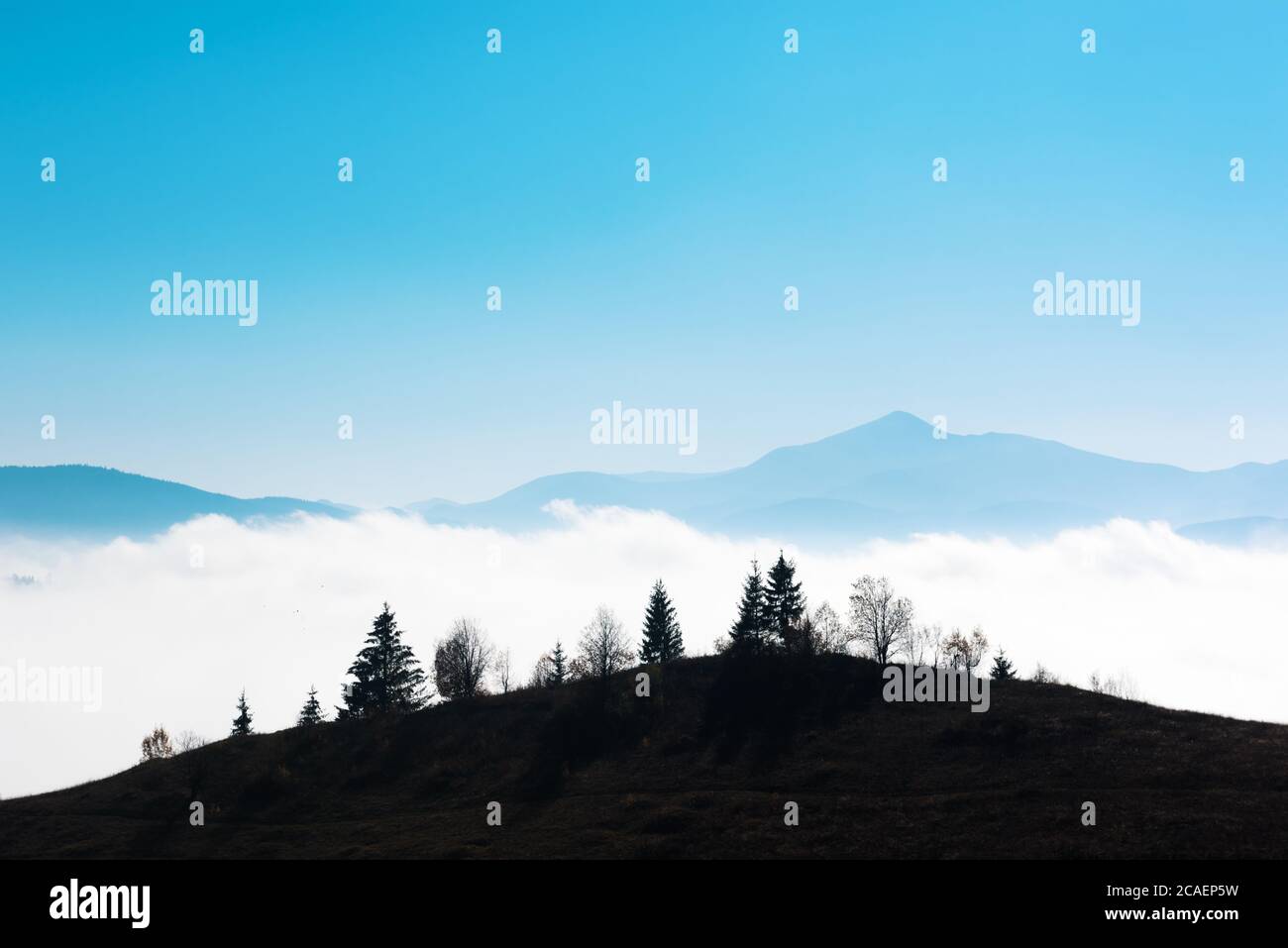 Pittoresco paesaggio estivo in una giornata di nebbia sulle montagne dei Carpazi. Silhouette di alberi sullo sfondo della catena montuosa Foto Stock