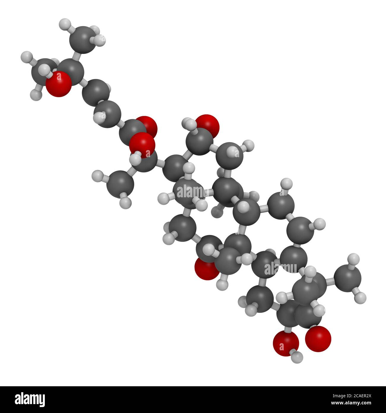 Molecola amara di Cucurbitacina D. Rendering 3D. Gli atomi sono rappresentati come sfere con codifica cromatica convenzionale: Idrogeno (bianco), carbonio (grigio), ossigeno Foto Stock