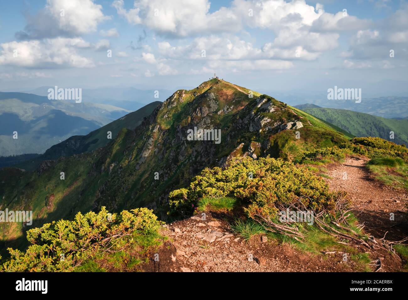 Cima del PIP Ivan montagna a Maramures, ucraini Carpazi, al confine con la Romania in estate. Fotografia di paesaggio Foto Stock