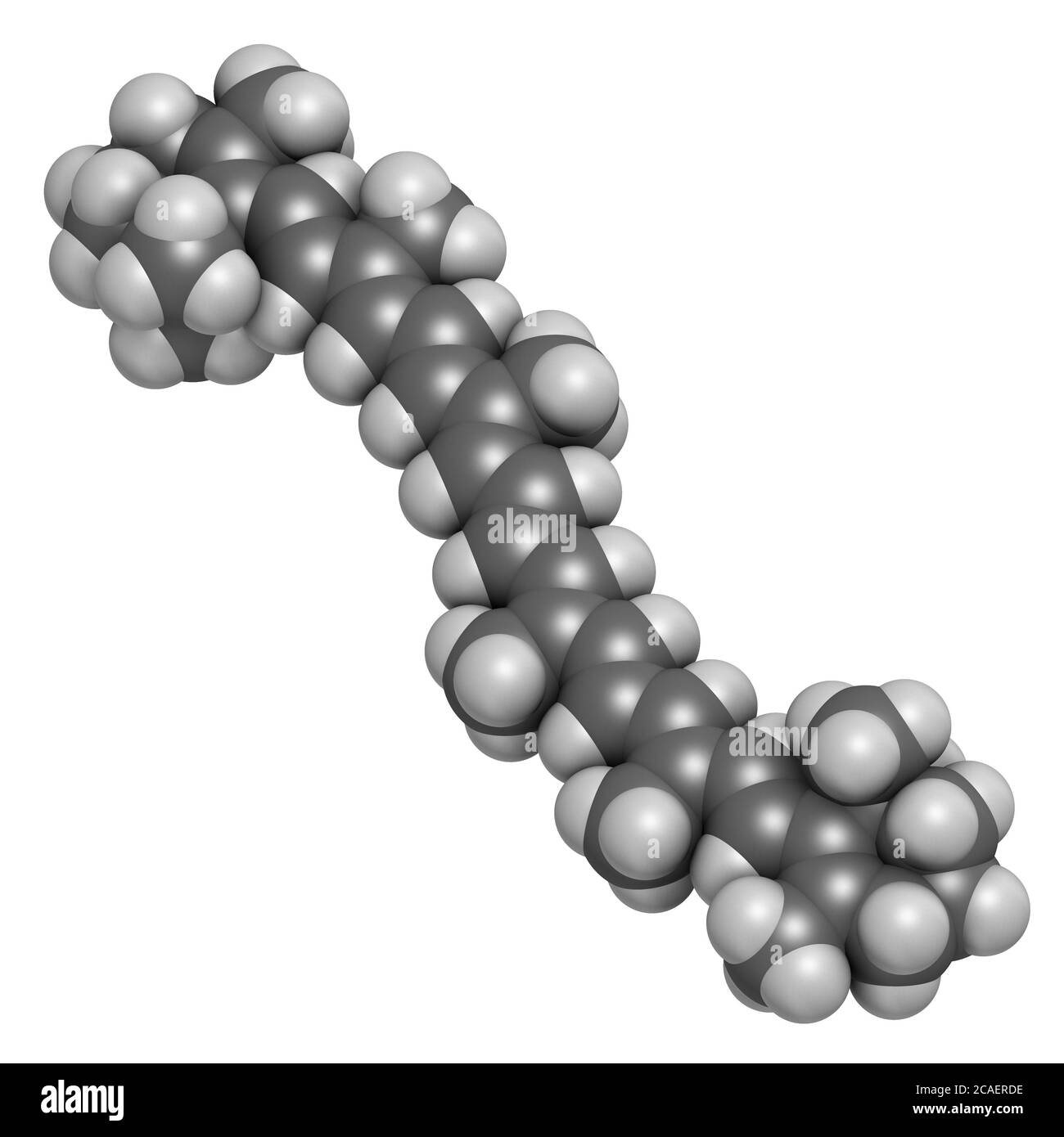 Molecola di pigmento di beta-carotene. Rendering 3D. Gli atomi sono rappresentati come sfere con codifica cromatica convenzionale: Idrogeno (bianco), carbonio (grigio). Foto Stock