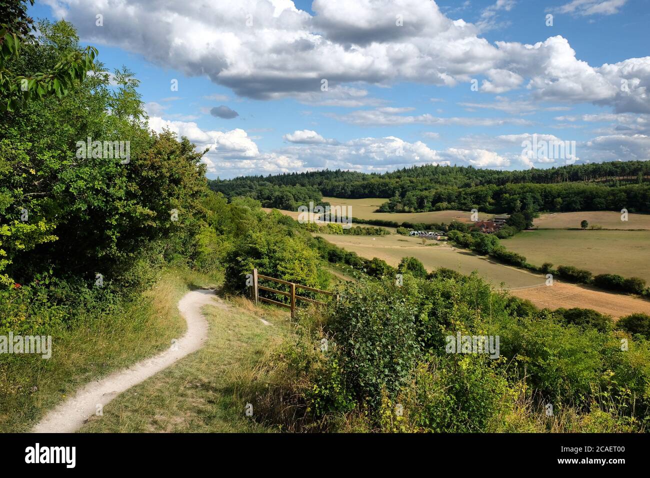 Pewley giù a Guildford, Surrey, parte del North Downs Way. Foto Stock