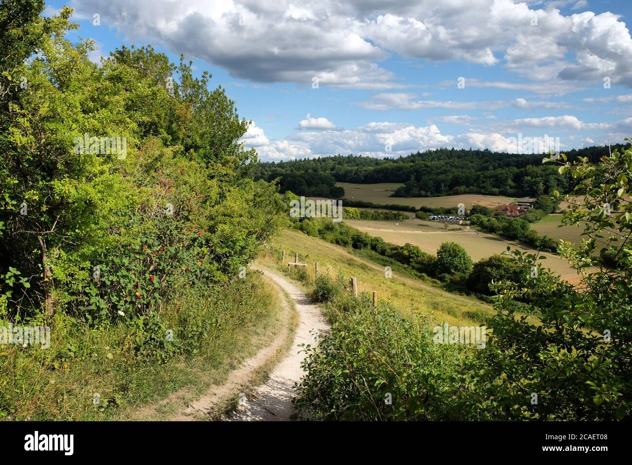 Pewley giù a Guildford, Surrey, parte del North Downs Way. Foto Stock