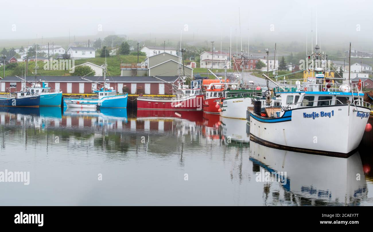 Barche colorate e casa nella nebbia, Branch, Terranova e Labrador NL, Canada Foto Stock